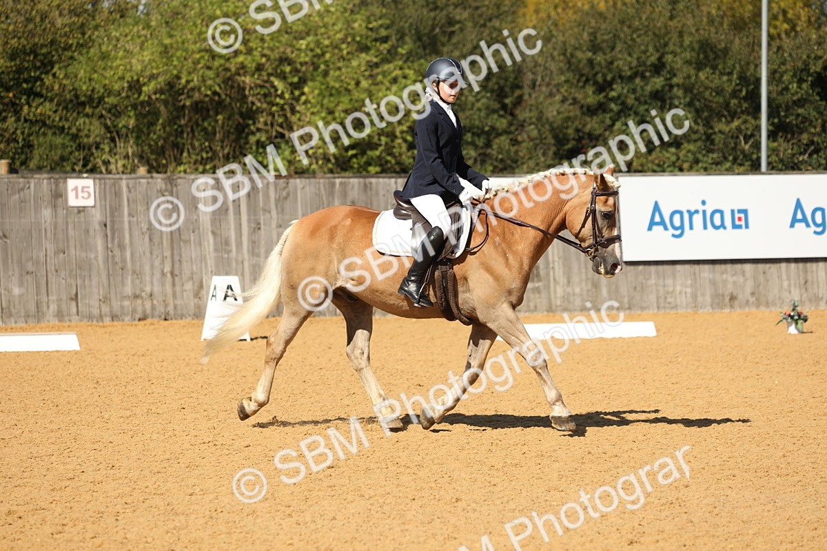 SBM_19735 - D10 - Small Tour Championship - Prelim 2