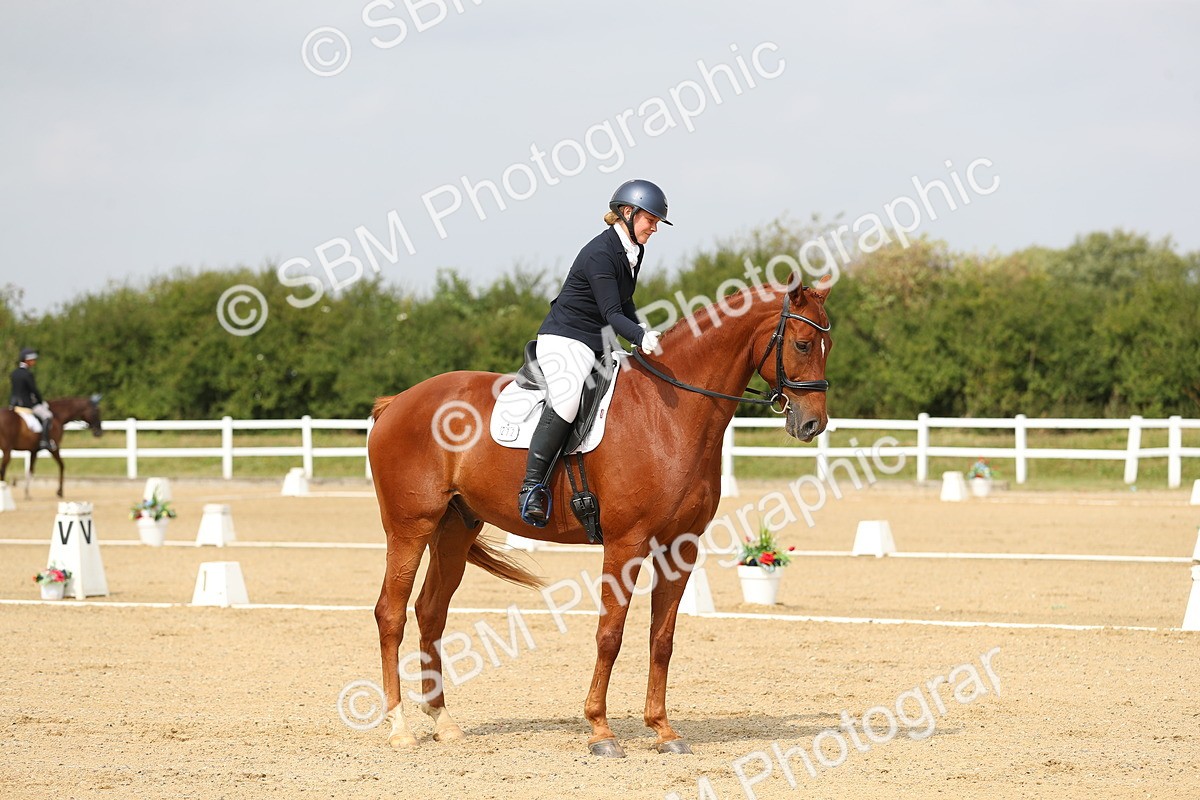 SBM_017301 - Class 13 - Novice 23 - 13.31-14.13