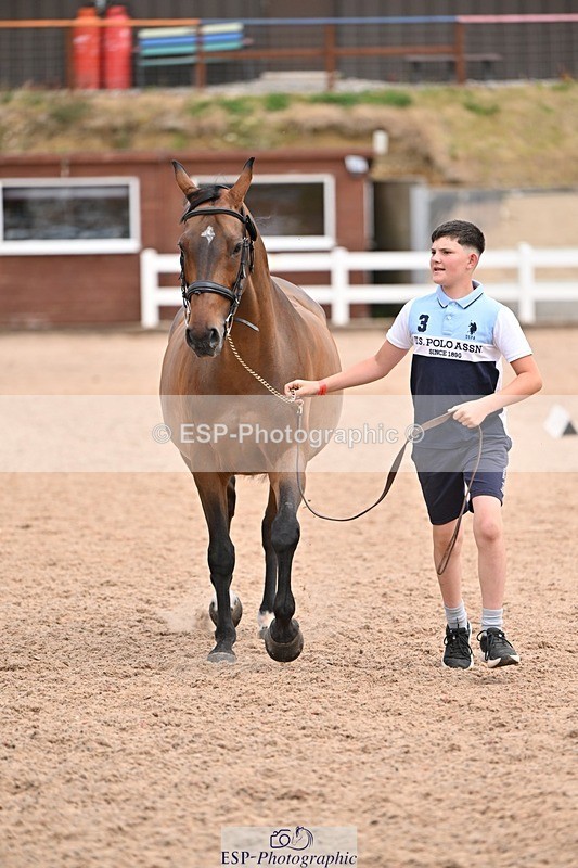 250716-142946-01116 - Trot Up 1.30 to 2.30