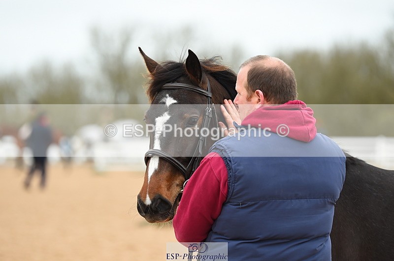 230416A-140606-04739 - Cls 46+43 In Hand Warmbloods and Foreign