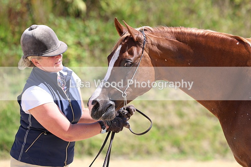 3E7A9778 - Class 33: Arab In Hand