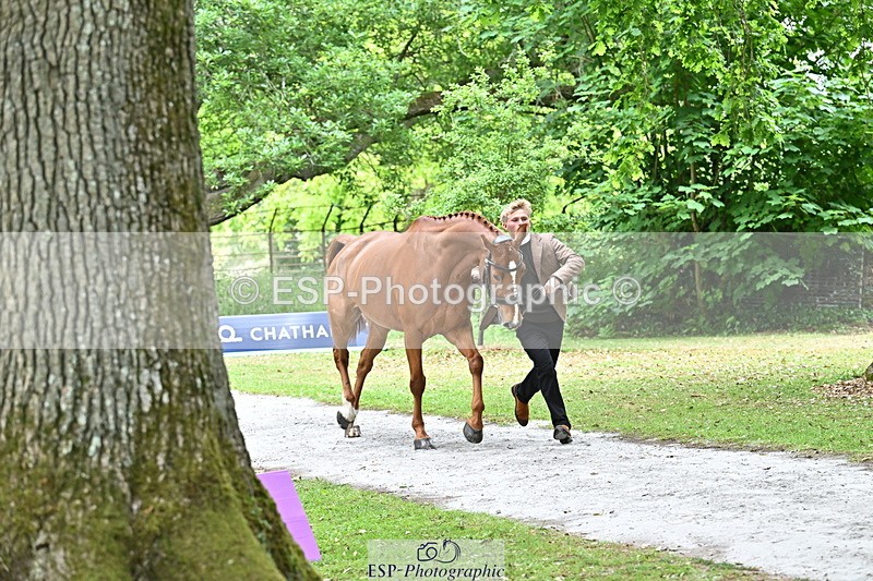 250521A-144911-00261 - A-062-Finn.Healy-GREANNANSTOWN.MONBEG.JOE