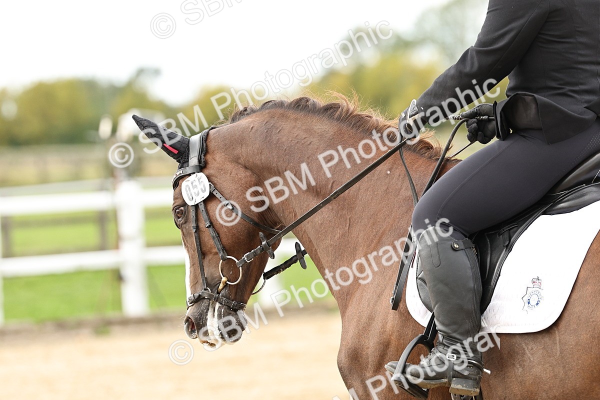 SBM_004535 - Class 69 - Novice 2