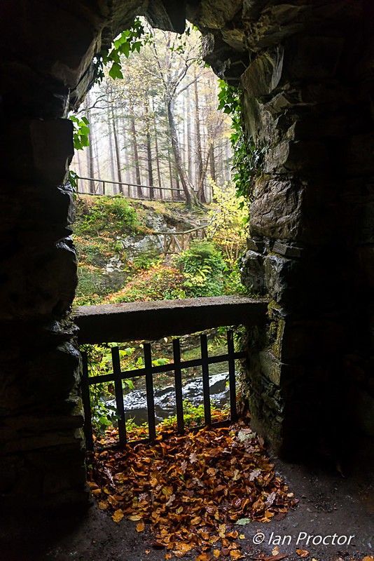 Sheltering from the Wind and Rain! - Autumn