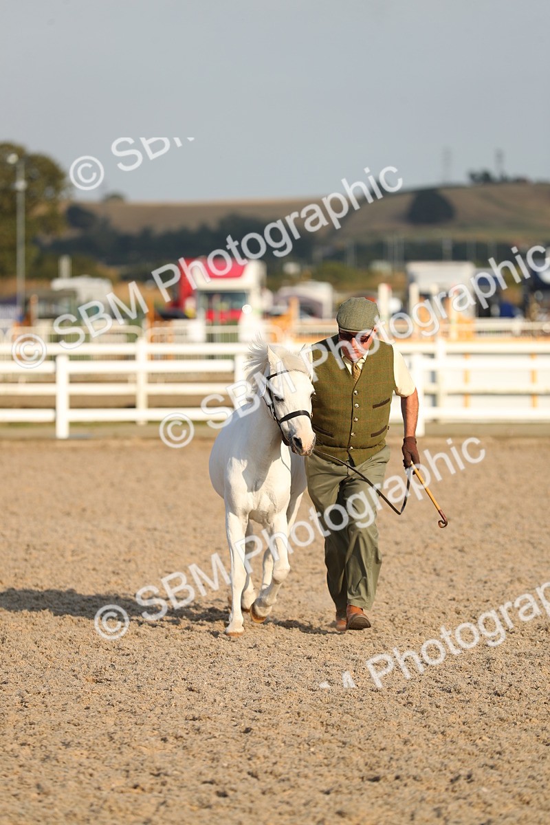 SBM_09025 - Class 29 IH Veteran Pony