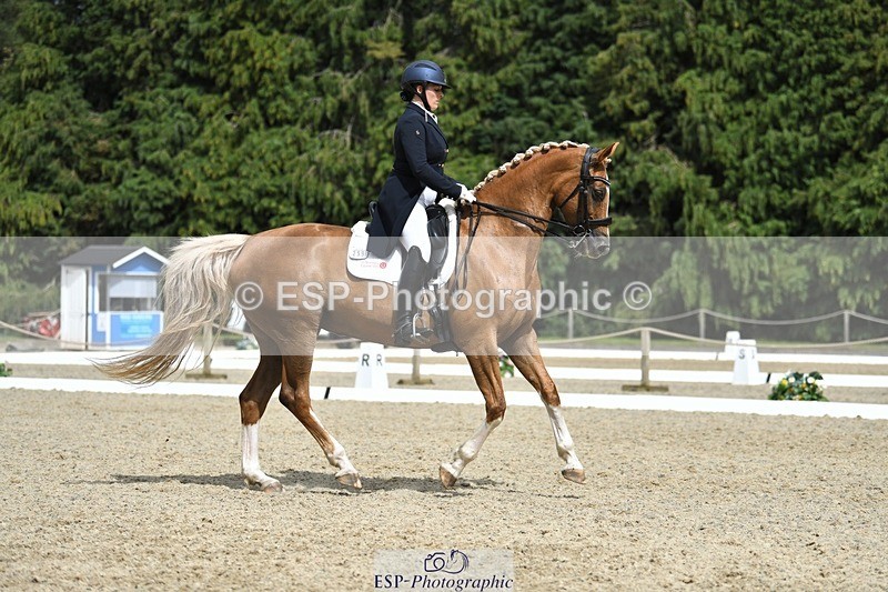 230812-144405-04781 - Cls 7 FEI PSG Bronze