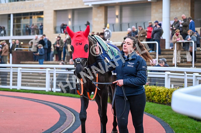 131224-Race 7-Long Draw-0078 - Race 7