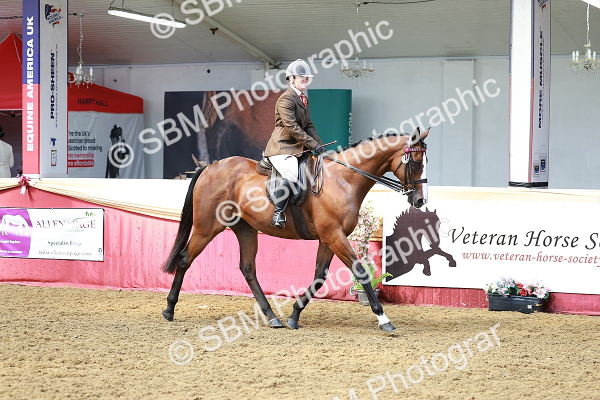 SBM_14882 - Class 108 - Ridden Retired Racehorse