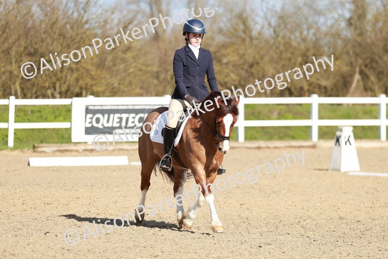 20260314-4305 - DR4 - Prelim 2