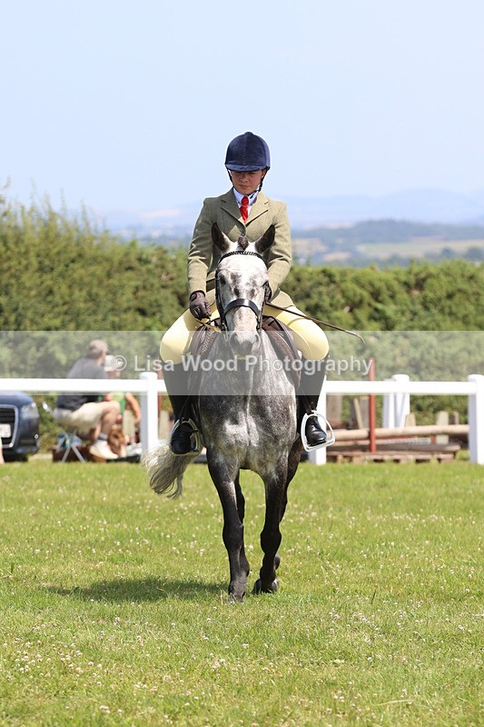 JPP_2456 - Class 21: Working Hunter 60cm
