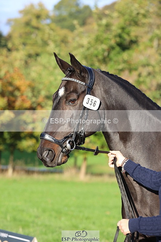 251026A-093628-22369 - D-356-Eloise.Starr