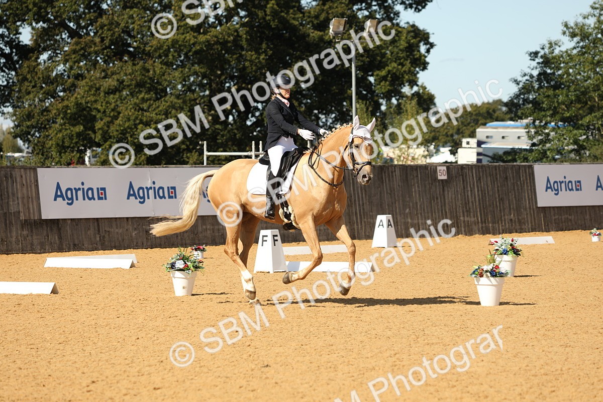 SBM_22315 - D17 - Grand Tour Championship - Novice 27