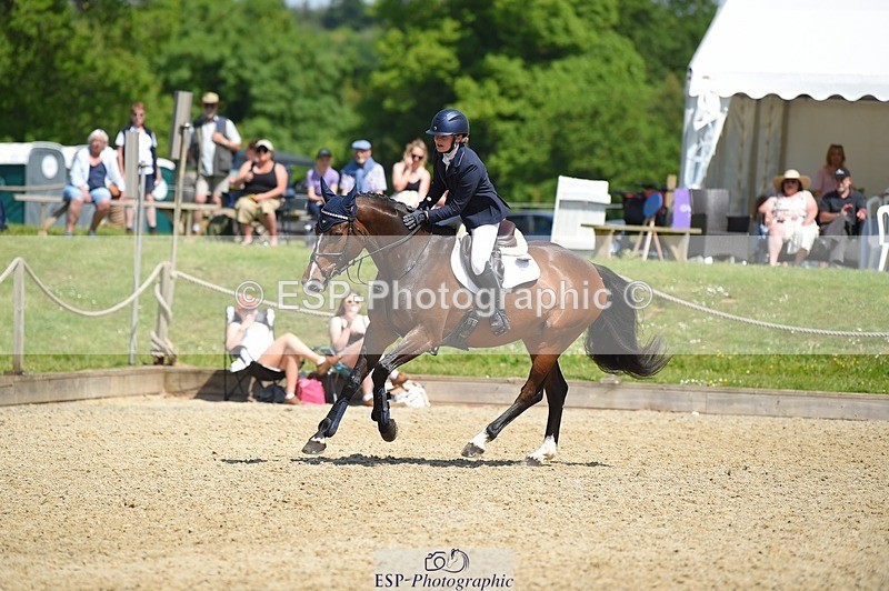 230528-112650-15212 - 379-QUIZICAL_Z-Alice_Hallows-SUNTrotUp+SJ