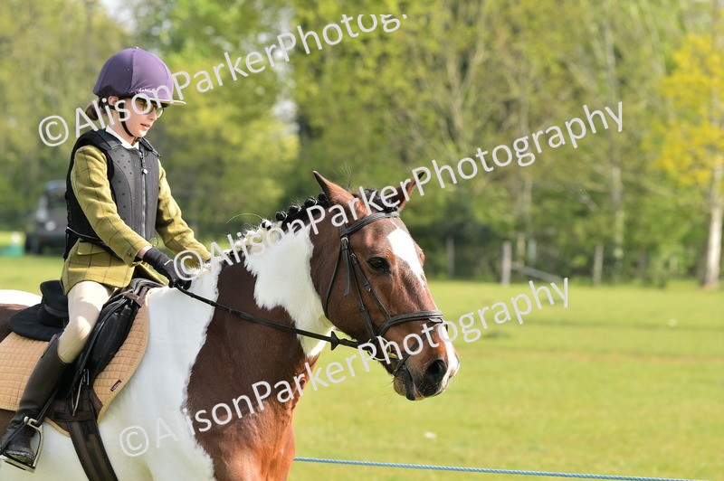 20260426-0860 - Class 18 - Novice Showing
