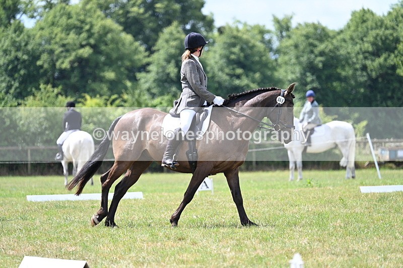 WJ7_4848 - Time 11:22 to 11:51