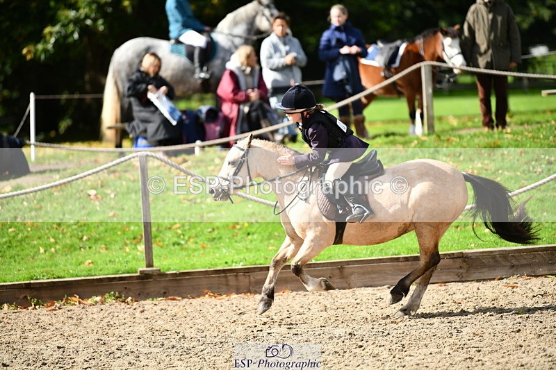 251004A-131114-01180 - Classes 6 & 7 60cm