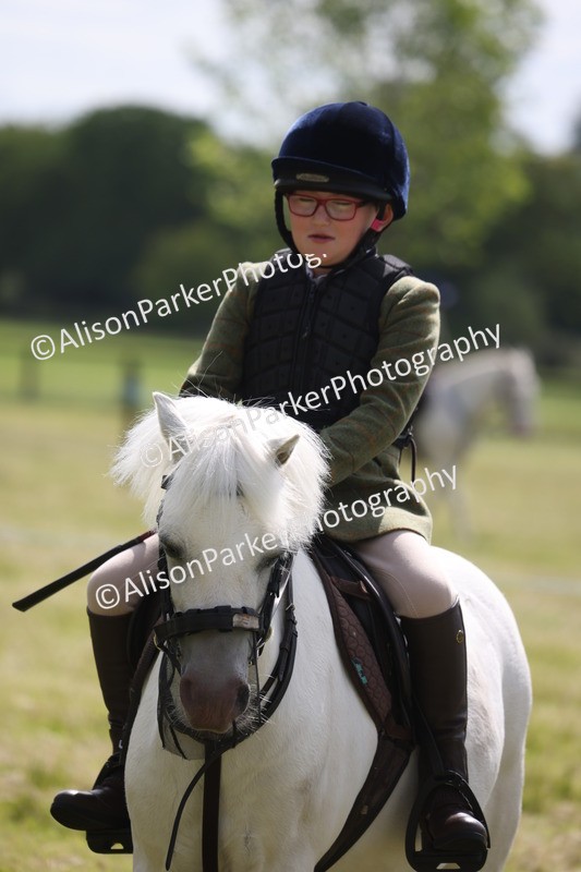20260614-0708 - Class 20 - Beginners Working Hunter Pony