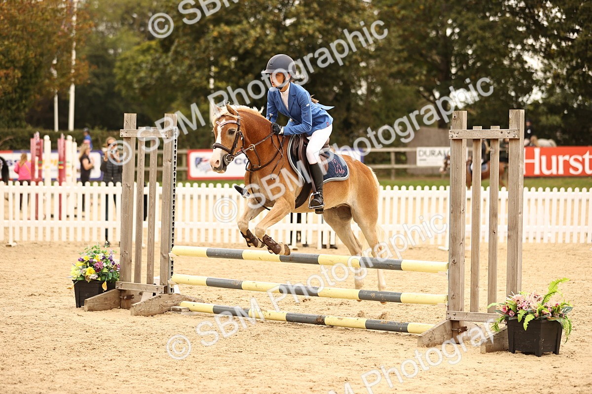 SBM_72605 - J14 - Junior Pony 65cm Championship