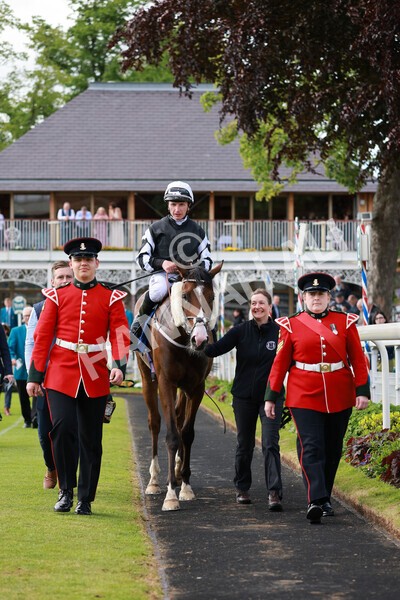 yr21052022r6-28 - Race 6: 4:42pm Yorkshire Regiment Stakes