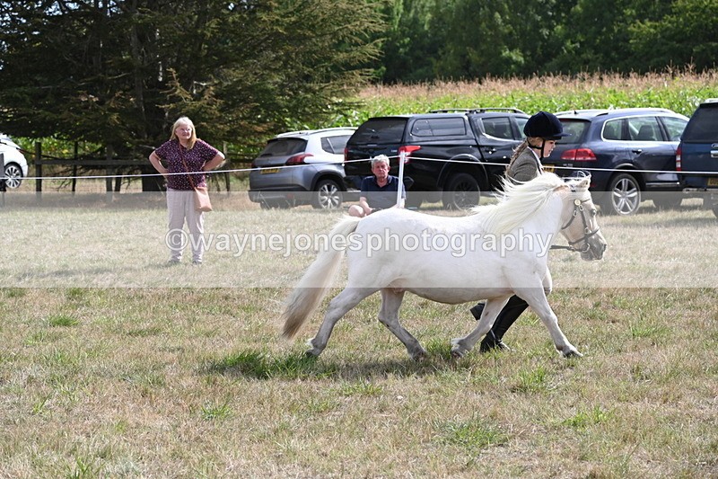 WJ6_6930 - Class 21 Shetland & Mini Horses