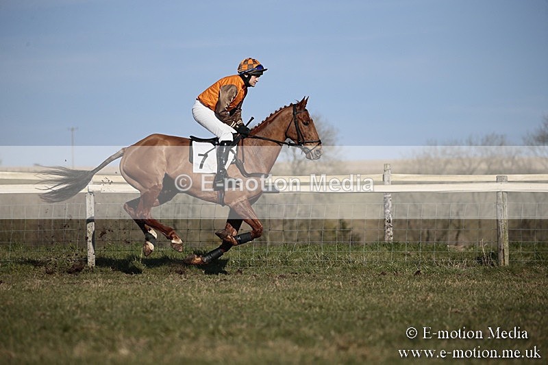PtP 240218 463 - Vine & Craven Hunt Point-to-Point Barbury racecourse 24/02/18