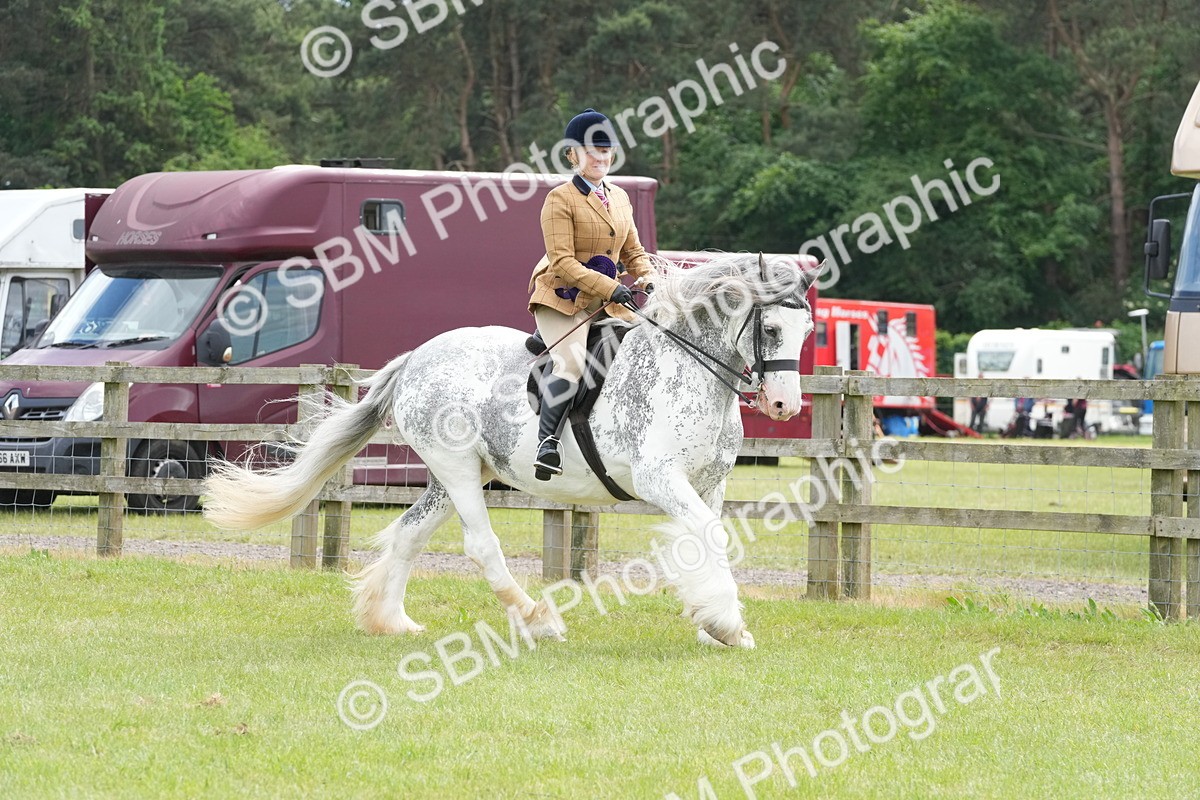 SBM_17359 - Class 107-108 - LIHS BSPS Performance Coloured Horse Pony