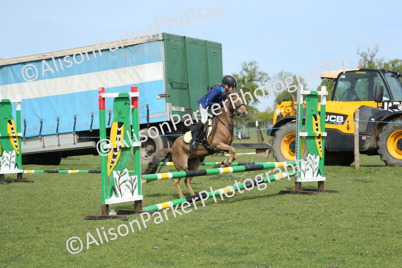 20260426-1576 - Class 14 - Novice 60cm