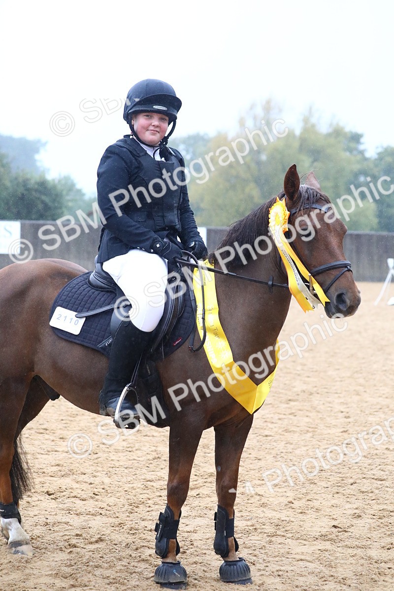 SBM_71835 - J4 - Mini Tour Junior Pony 45cm Championship