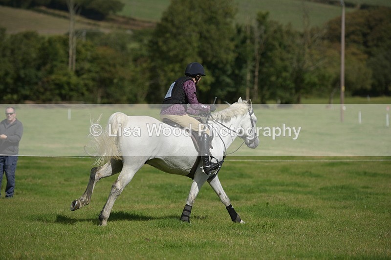 RAY_8620 - Class 2: Trekenning Open: Wall