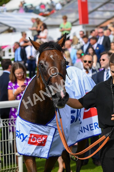 260823-Race 3-Kinross-0511 - Race 3 Sky Bet City Of York Stakes
