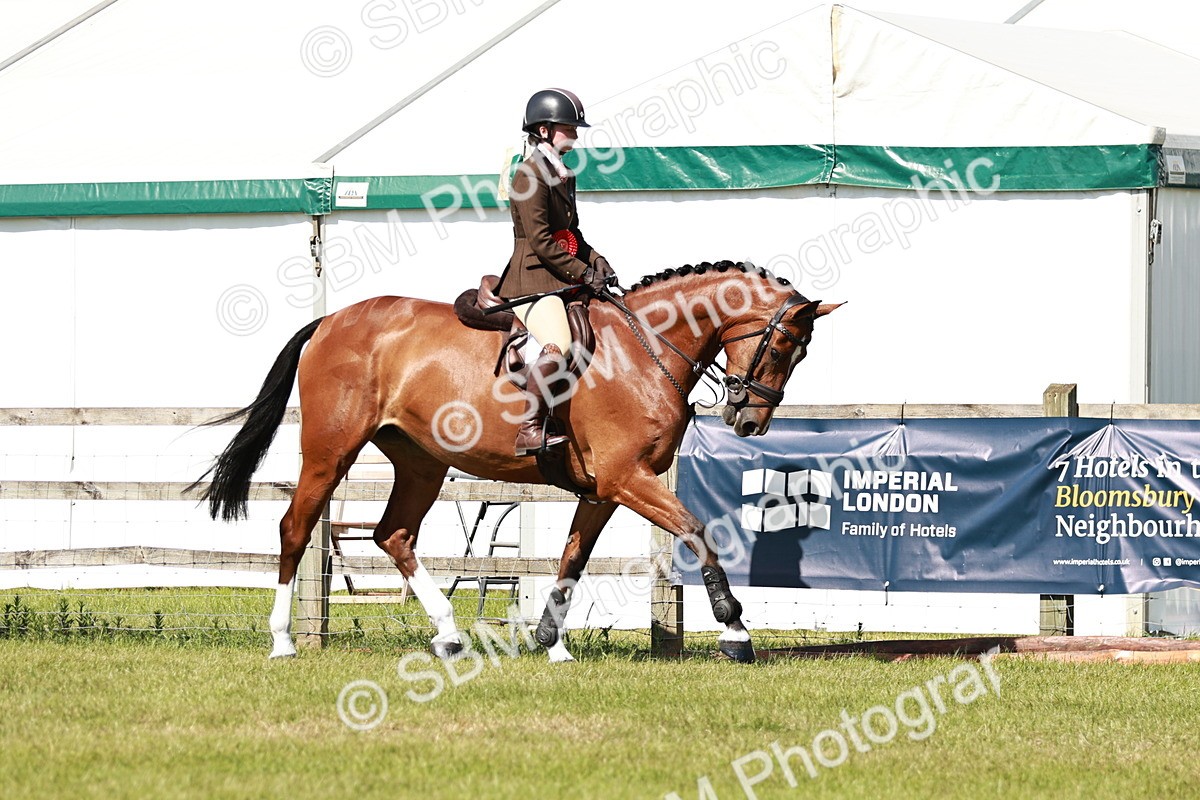 SBM_18507 - Class 112-113 - BSPS LIHS Working Sports Pony