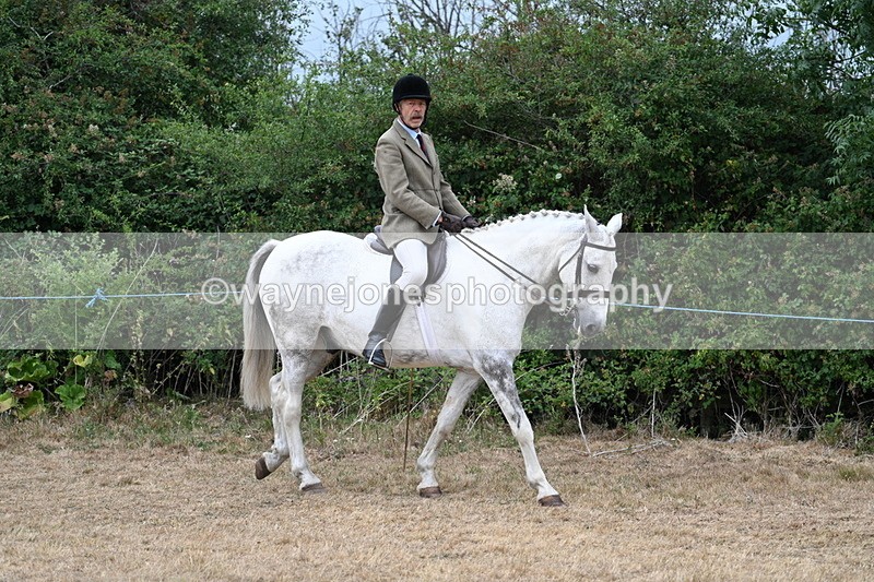 WJ7_0737 - Class 7 Riding Club Show Horse