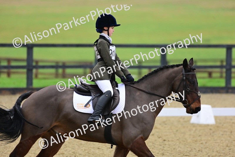 20260125-0624 - Class 9b - Walk Trot Unassisted