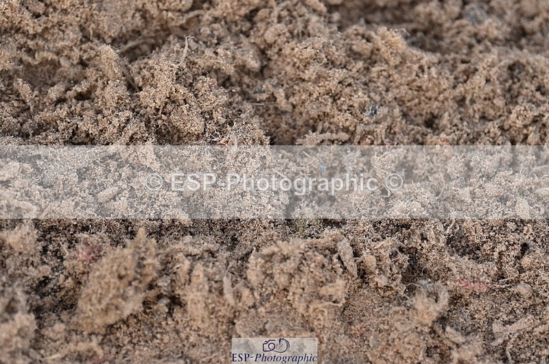 231015A-134308-08407 - Cls 25 95cm Amateur Q 2nd R