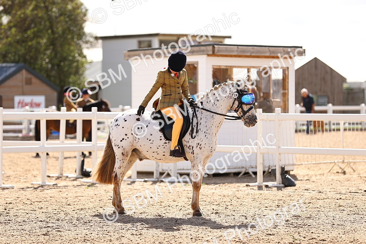 SBM_12864 - Class 409 - Grassroots Ridden - Pony