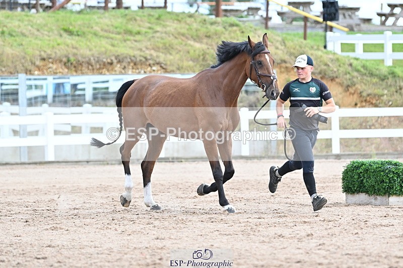 240717A-143657-02149 - Trot Up 2pm to 3pm - This folder is not in time order