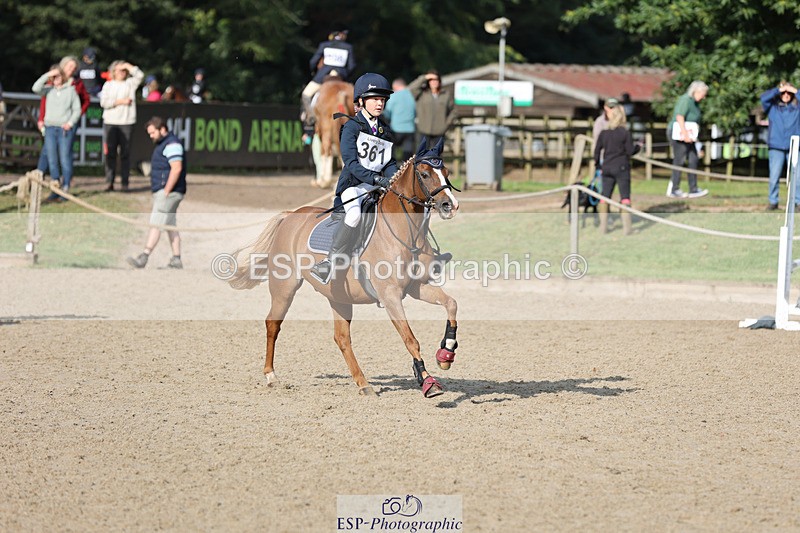 240823X-091225-14442 - 60cm R1 8.30 to 10.00