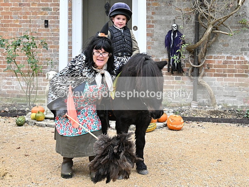 WJ7_6790 - Berks & Bucks - Children's Meet - The Old Farmhouse – Steventon.