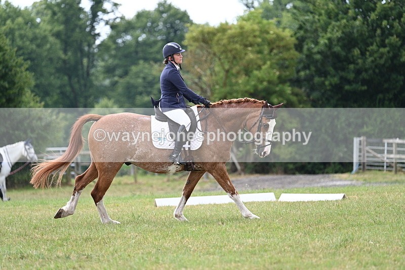 WJ7_5881 - Time 11:52 to 12:10