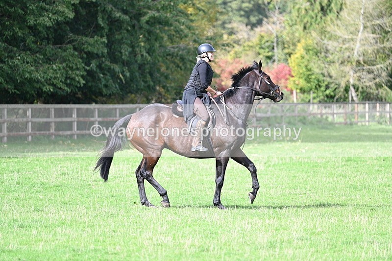 WJ7_8753 - Time 12:40 to 12:54