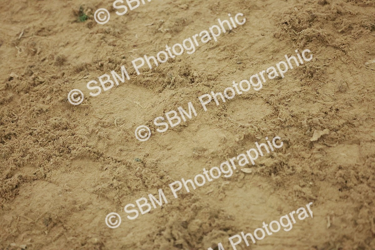 SBM_004982 - Class 6 - Chase Me Charlie