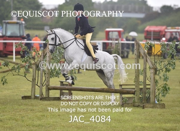 JAC_4084 - 40CM WORKING HUNTER