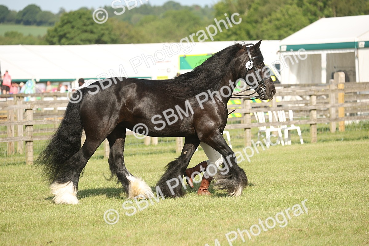 SBM_10376 - Class 33-38 - SSADL RIHS Qualifiers