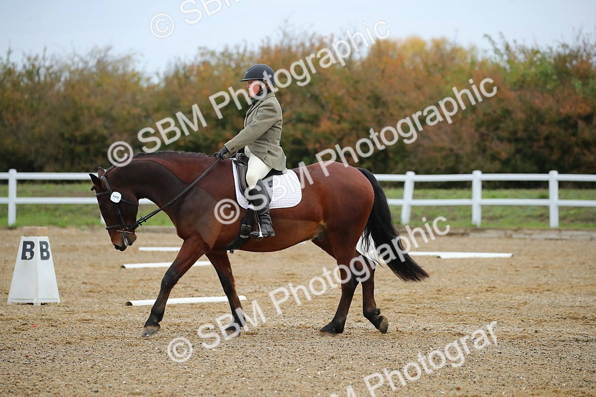 SBM_000388 - Intro 2