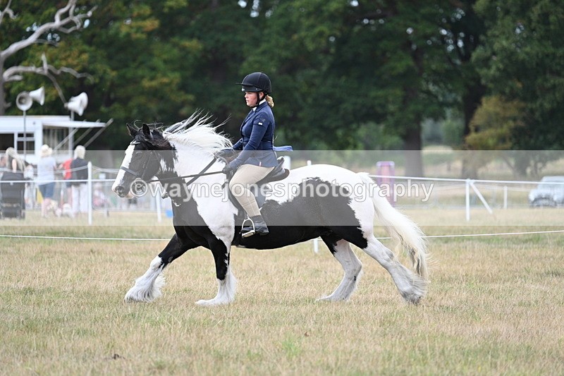 WJ7_5124 - Class 12 Ridden Cob