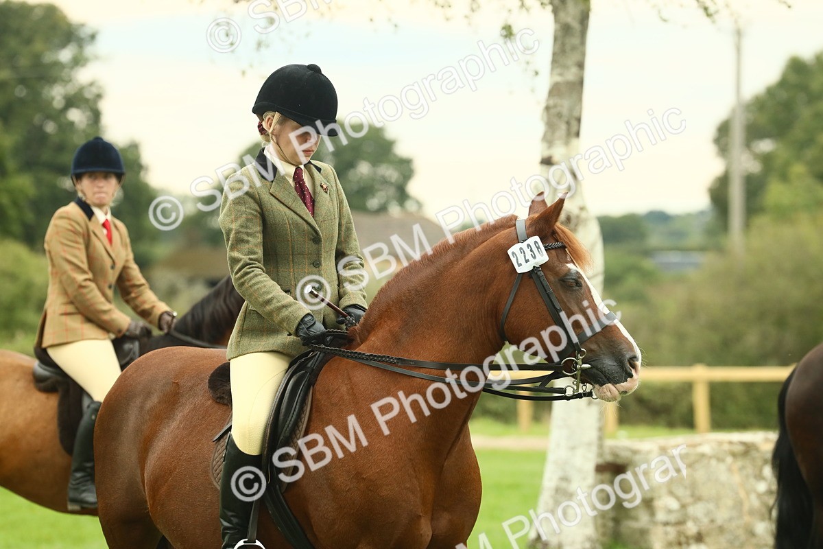 SBM_72277 - S60 - Mountain & Moorland Ridden Large Breeds