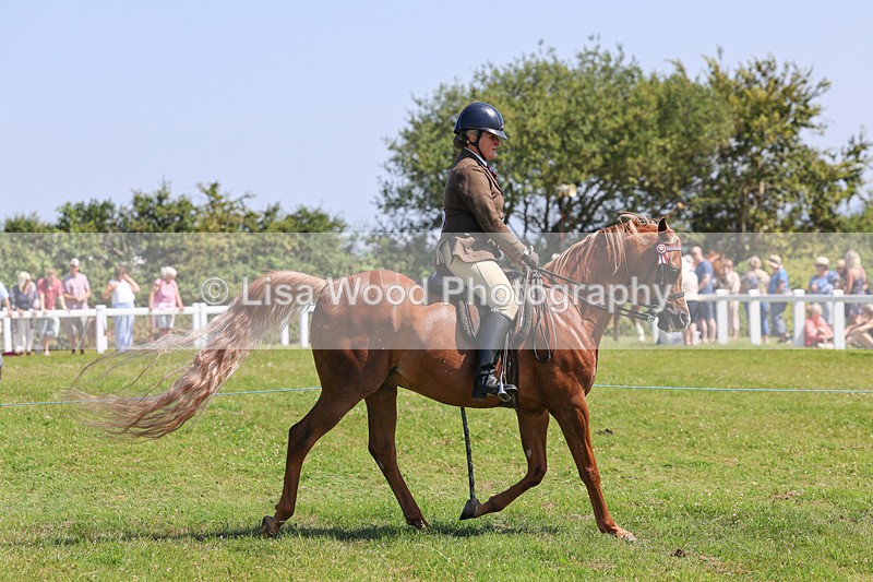 IMG_2237 - Class 37: Pure, Anglo & Part Bred Ridden Arab