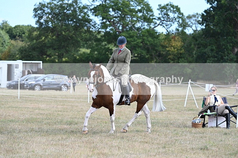 WJ7_6900 - Class 14 Ridden Coloured