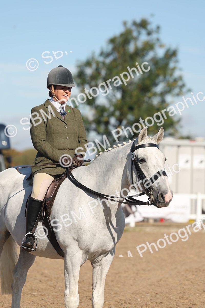 SBM_12225 - Class 303 - Ridden Pure Bred Horse Pony