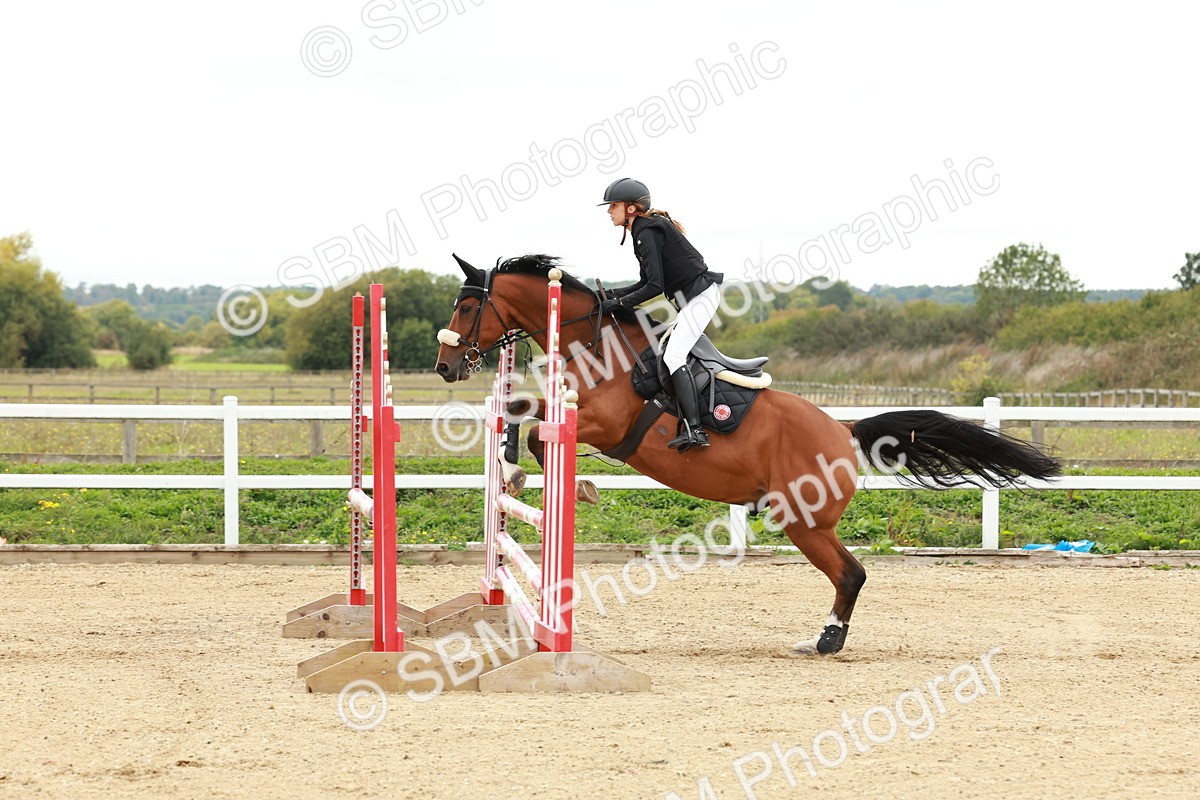 1I0A6869 - Class 2 - Senior British Novice